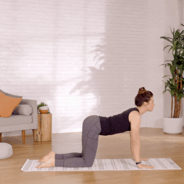 一套適合初學者的「 入門級 」瑜伽序列，建議每天練習