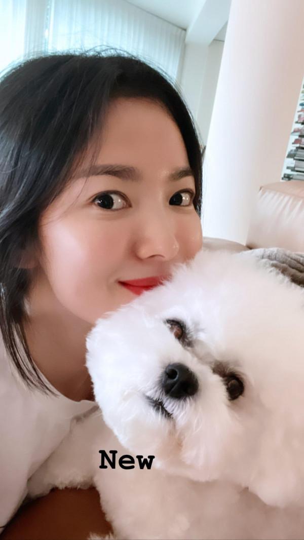 40歲宋慧喬情人節前夕曬照，和狗狗嘴對嘴，心情不受玄彬結婚影響