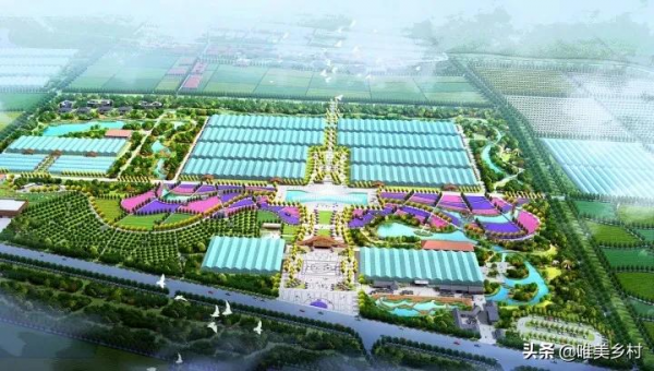 農村土地要統一耕種，小農戶怎麼辦？兩種選擇，大小農業做引領