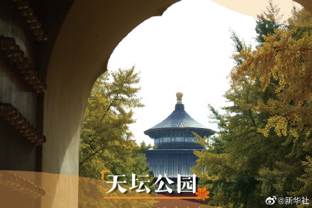 打卡北京秋日美景