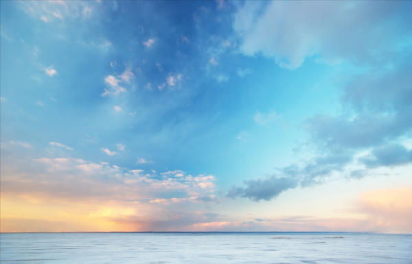 為什麼一定想飛呢?因為我屬於天空 為什麼一定想飛呢?因為我屬於天空