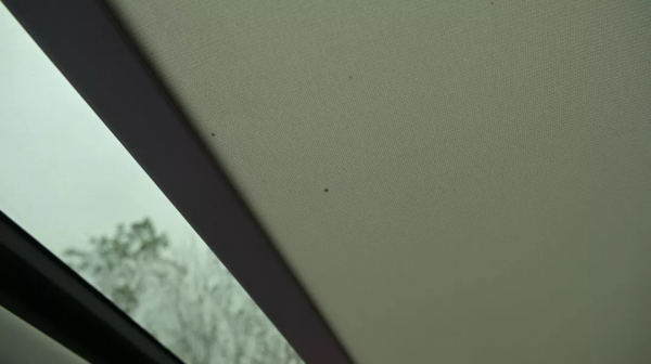 「諾總日記」忍不住自掏腰包，“奇怪分子”的途安L卻內有亮點