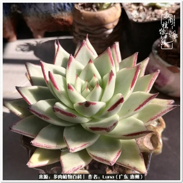 學會和解:與自己、與他人、與世界 學會和解:與自己、與他人、與世界