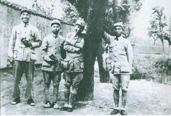 兒子首次領女朋友回家,徐向前親自下廚:滿眼綠油油,肉絲找不到 兒子首次領女朋友回家,徐向前親自下廚:滿眼綠油油,肉絲找不到