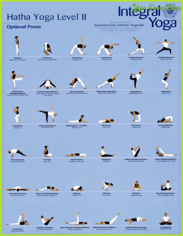 哈他瑜伽序列編排技巧，另附25個經典序列圖解，收藏級