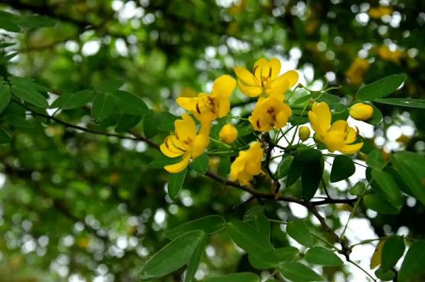 58歲阿姨傾訴：找有6000退休金的老頭搭夥，一年不僅搭錢還出了力