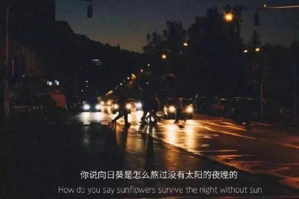 那些令人淚下，惹人心酸的句段——樹欲靜而風不止