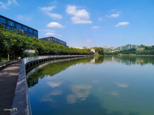 想要輕薄和大電池？這三款手機值得考慮