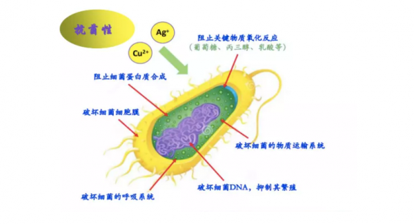 革命性新型不鏽鋼，比SUS304降本20%-30%，高耐蝕高強度高抗菌