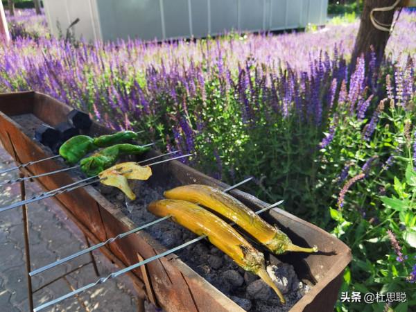 漢EV自駕新疆，第一次使用自動泊車，第一次自制烤串真香啊