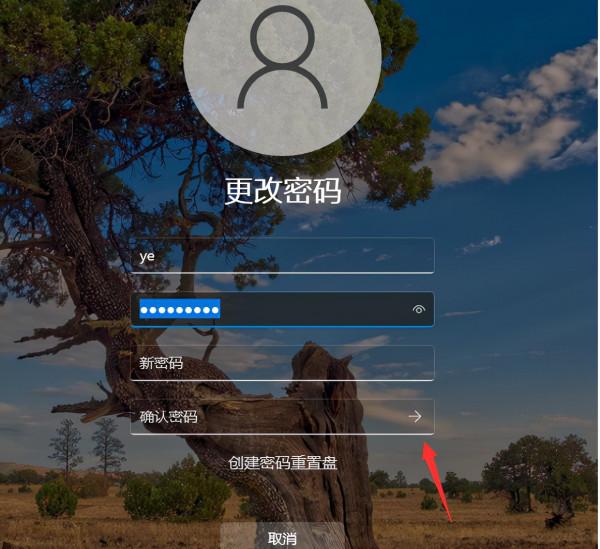 Win11怎麼取消開機密碼 Win11取消開機密碼方法教程 Win11怎麼取消開機密碼 Win11取消開機密碼方法教程