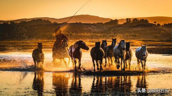 秋去秋來！中國最美的12個地方，你去過幾個？