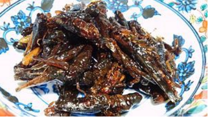 17種奇怪的日本食物