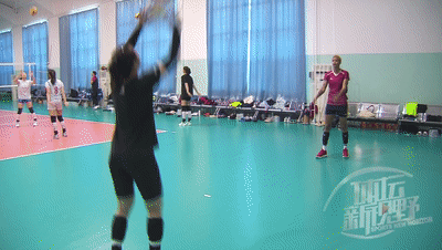 新援巴爾加斯歸隊,目標隨天津女排奪冠,週末有望迎來亮相戰 新援巴爾加斯歸隊,目標隨天津女排奪冠,週末有望迎來亮相戰