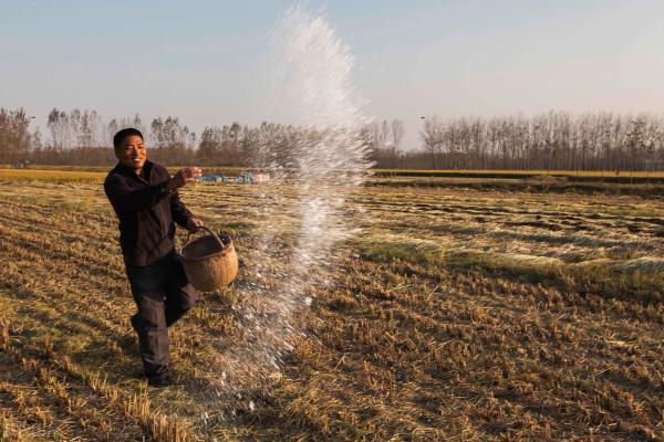 天氣預報:2021年冬天是旱是澇?看九月二十五天氣,農諺能預兆 天氣預報:2021年冬天是旱是澇?看九月二十五天氣,農諺能預兆