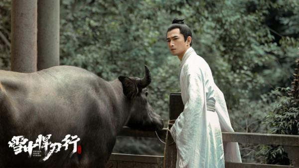 王倦編劇、張若昀主演反而錯了?《雪中悍刀行》救不了武俠劇 王倦編劇、張若昀主演反而錯了?《雪中悍刀行》救不了武俠劇