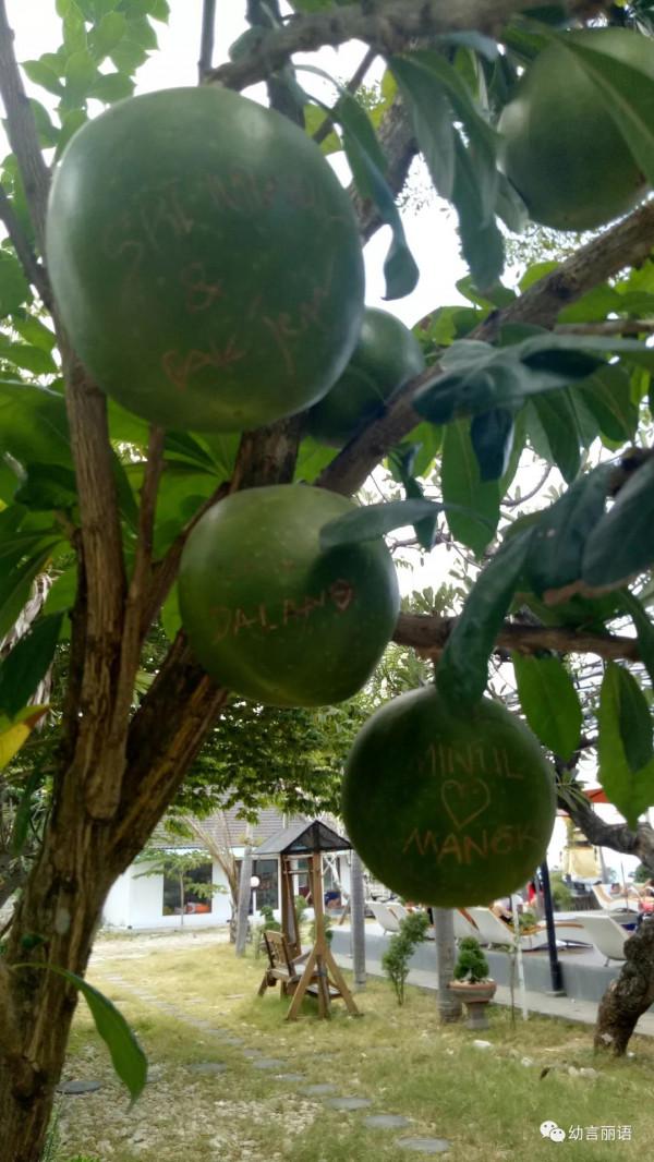 巴厘島旅遊之聽導遊講巴厘島 巴厘島旅遊之聽導遊講巴厘島