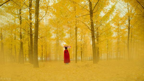 寶寶起名:根據時節給寶寶起名,將來定能學有所成,滿載而歸 寶寶起名:根據時節給寶寶起名,將來定能學有所成,滿載而歸