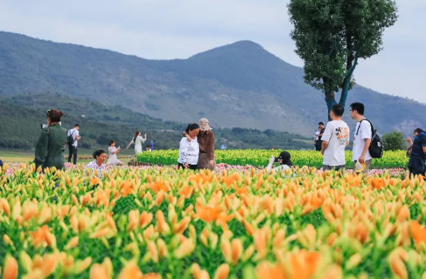 菜吧:從無人問津的村,到年接待遊客800萬的網紅村,它做對什麼 菜吧:從無人問津的村,到年接待遊客800萬的網紅村,它做對什麼
