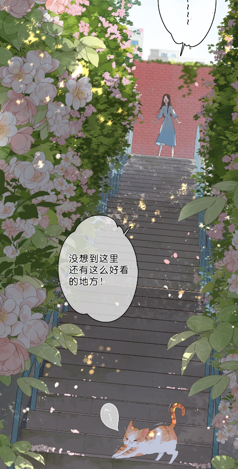 《街角的向陽花屋》兔街子新作，溫暖治癒系