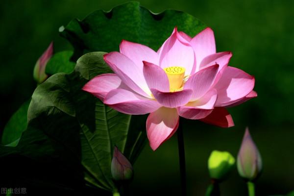 願歷經磨難的你，仍有勇氣進可治家退可安已