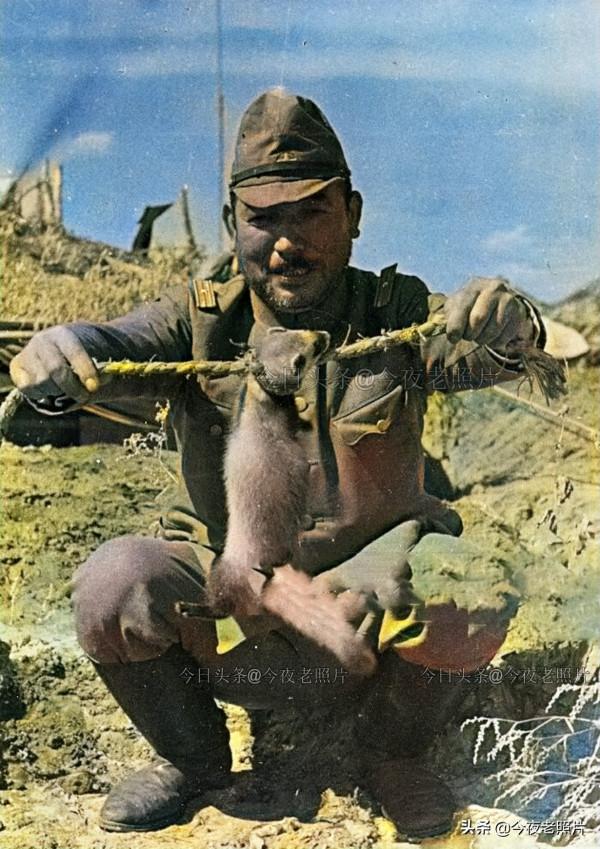 罕見的照片：日軍勒死黃鼠狼，德軍扒老鼠皮，美軍絞死日本前首相
