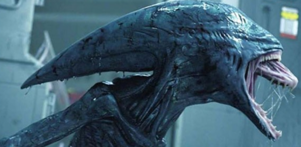 過年了，盤點讓人印象深刻的“畫面”，都是噩夢，你記得幾個？