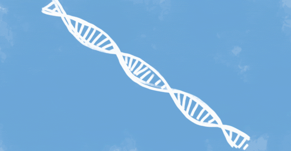 每一個人類都是由女性生的，那麼世界上第一個女性，是從哪來的？