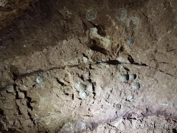 漢EV自駕河南，帶著孩子逛親子景區5A恐龍遺蹟園