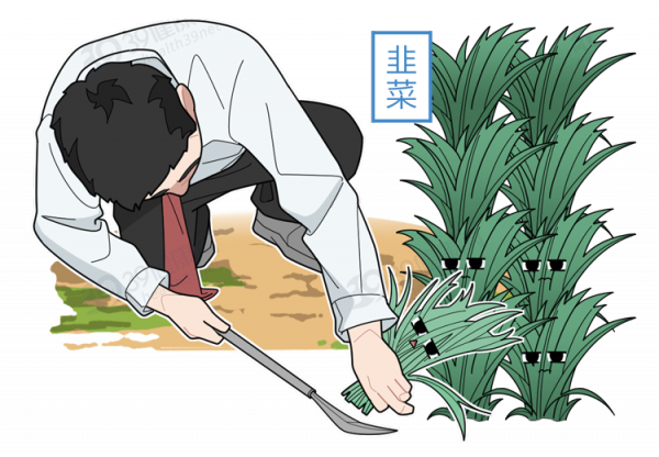 傳承數千年的中醫正骨,這些“功效”不要相信,都是騙人的 傳承數千年的中醫正骨,這些“功效”不要相信,都是騙人的