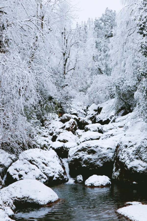 元旦最強攻略出爐！小眾美景、愜意度假、全家出遊都有，拿走去耍