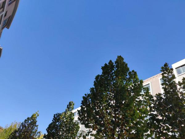 今天,十月初四 今天,十月初四