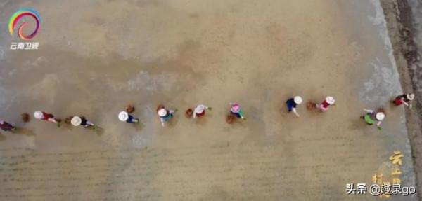 跟著紀錄片去旅行：雲南，一年必須要來一次的“秘境探險”