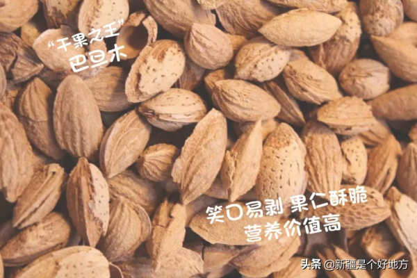過年過節 新疆人的茶几上絕對有一碟這個！