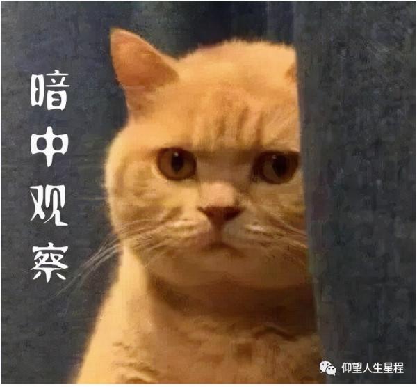 下週星動運勢：11.1～11.7，水金雙星同變動，拒絕膚淺