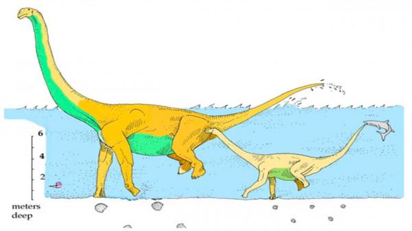 只靠前腿前進的動物?還是巨型恐龍!科學家的理論可靠嗎? 只靠前腿前進的動物?還是巨型恐龍!科學家的理論可靠嗎?