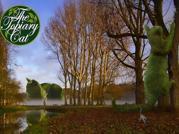 貓咪去世後被主人做成無人機，貓：沒想到死後還有一劫...