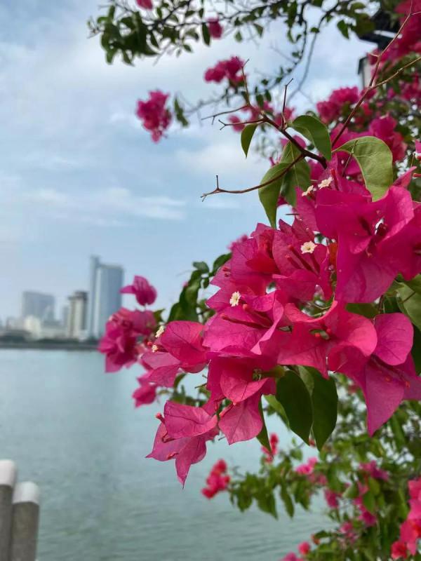 發育遲緩孩子的十年——孕期的反思