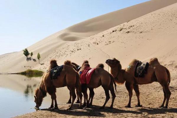 中國最美的七大沙漠