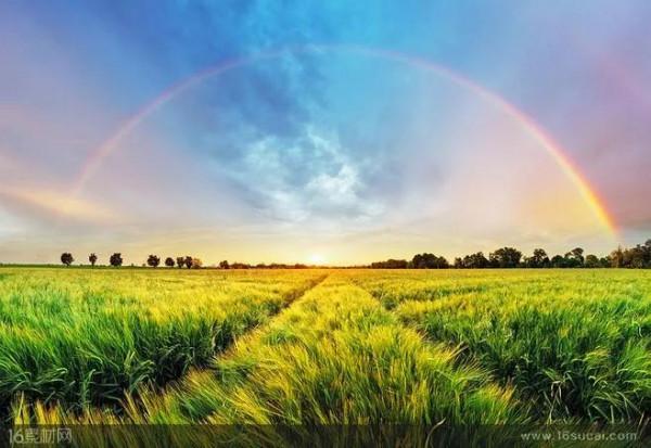 霧裡看花，水中望月並不美好，消除模糊才能到達人生巔峰