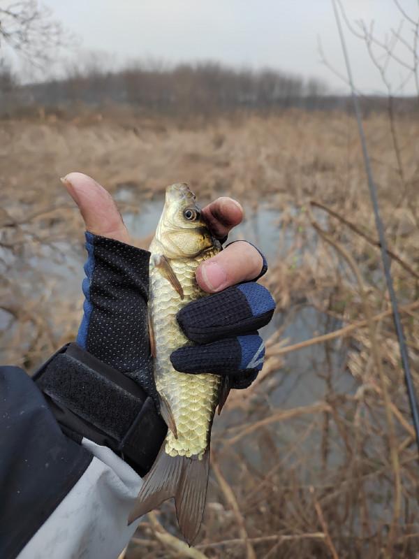 這就是菜地的魅力，夠野、夠暴力