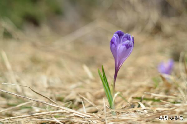 生活中的修補哲學