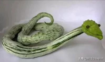 奇葩的&OpenCurlyDoubleQuote;藝術造型&rdquo;蔬菜！沒有神奇、只有更奇 &num;金粉社群&num;
