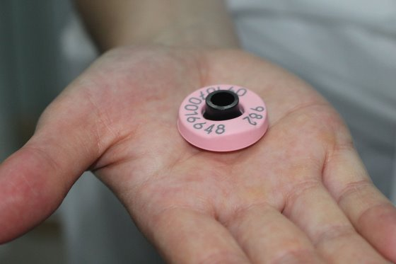 豬場參觀:育肥豬的“電子飼餵站” 豬場參觀:育肥豬的“電子飼餵站”