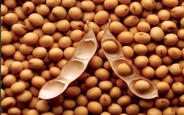 美國又來挑事了！企圖掀起全球糧食戰爭？