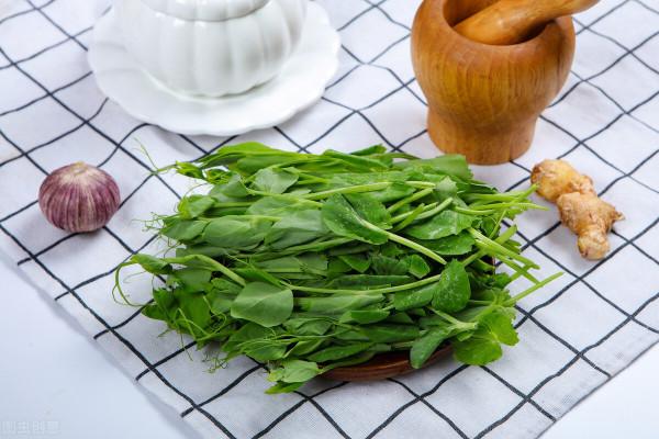 節氣&OpenCurlyDoubleQuote;雨水&rdquo;養生，記住常吃6種食物，牢記3早，健健康康過春天
