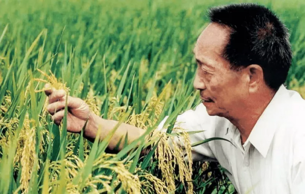 薇婭被罰13.41億元，遭全網封殺！網友：貧窮又限制了我的想象力