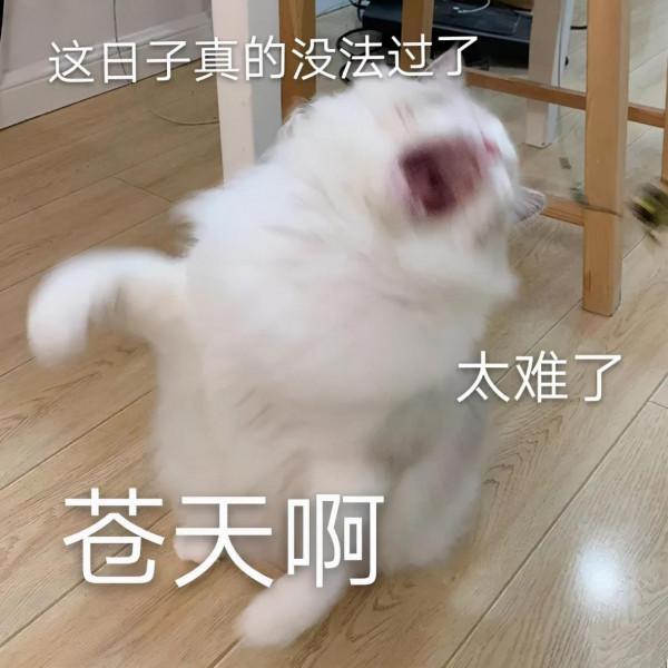 油價漲、運費低、交警罰,卡友們還能堅持多久? 油價漲、運費低、交警罰,卡友們還能堅持多久?