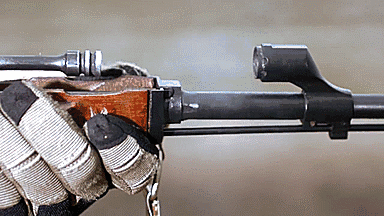 俄領導人對“AR步槍”愛不釋手，缺少了“毛味兒”，卡工坐不住了