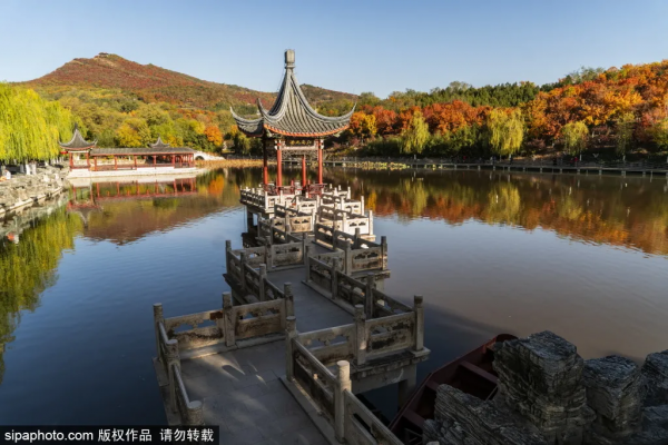 準備打卡！北京這些地方已經美成畫！最新彩葉實拍→